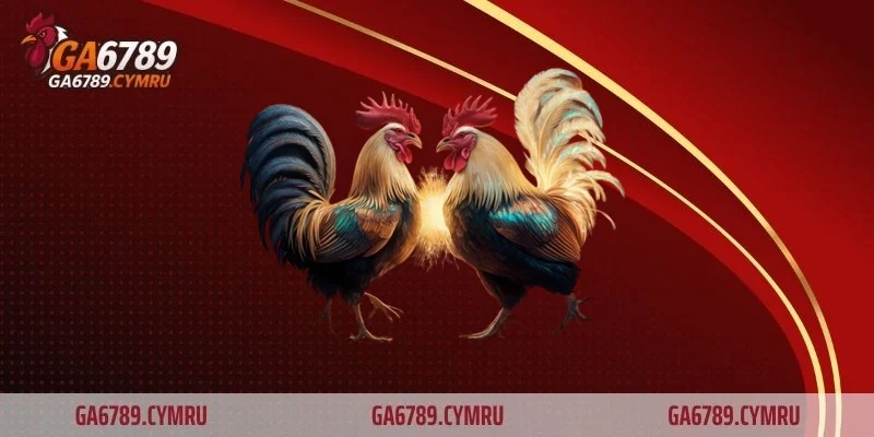 Tăng khả năng dự đoán kết quả trận đấu